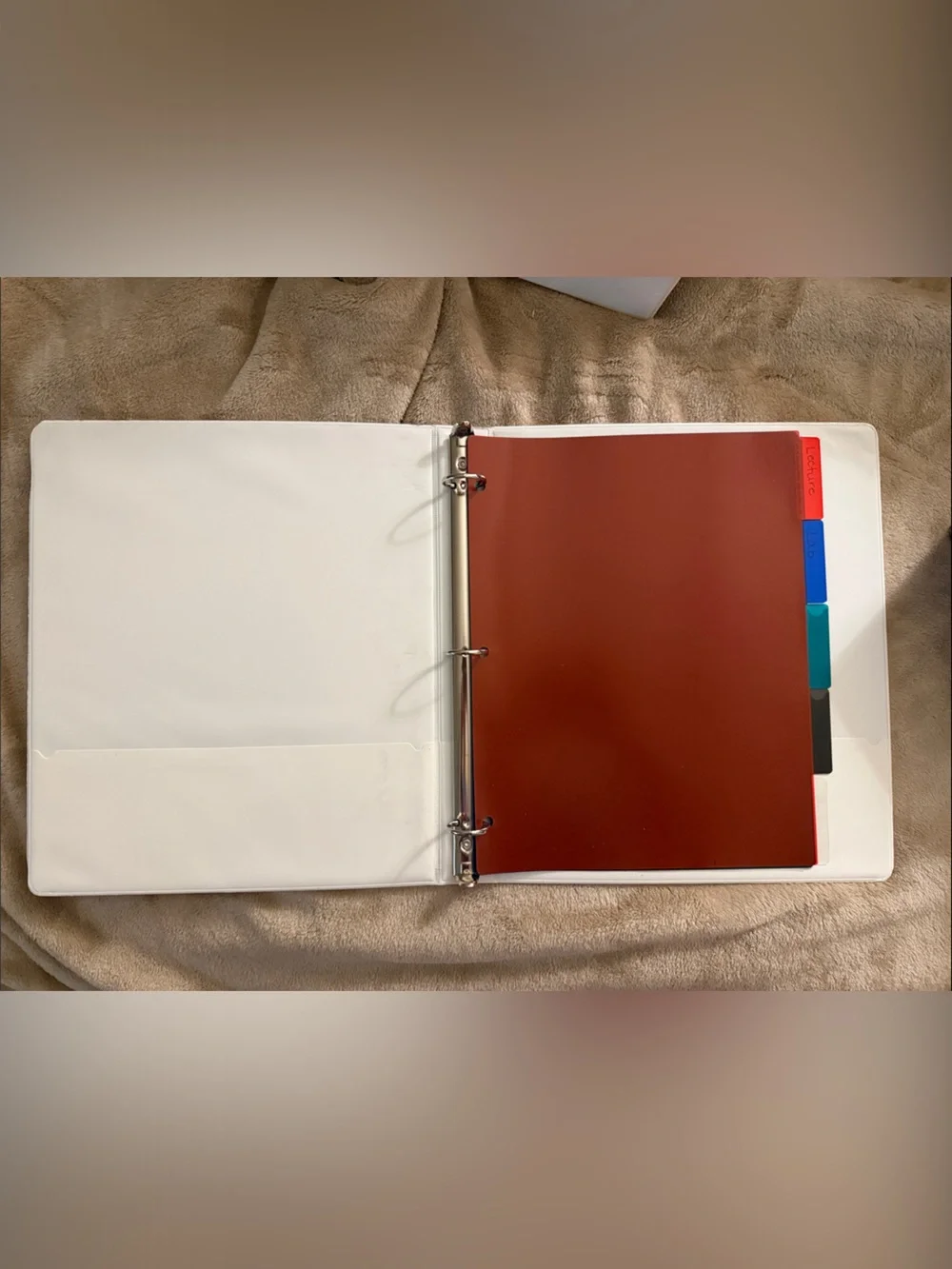 White 3-Ring Binders Set of 4